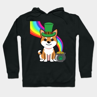 Cute orange dog is a leprechaun Hoodie